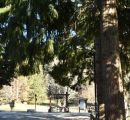 IL Cupone - Percorso Naturalistico
